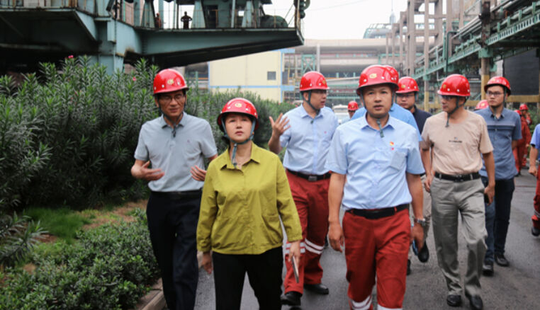 省第三生态环境保护督察组下沉涟钢督察