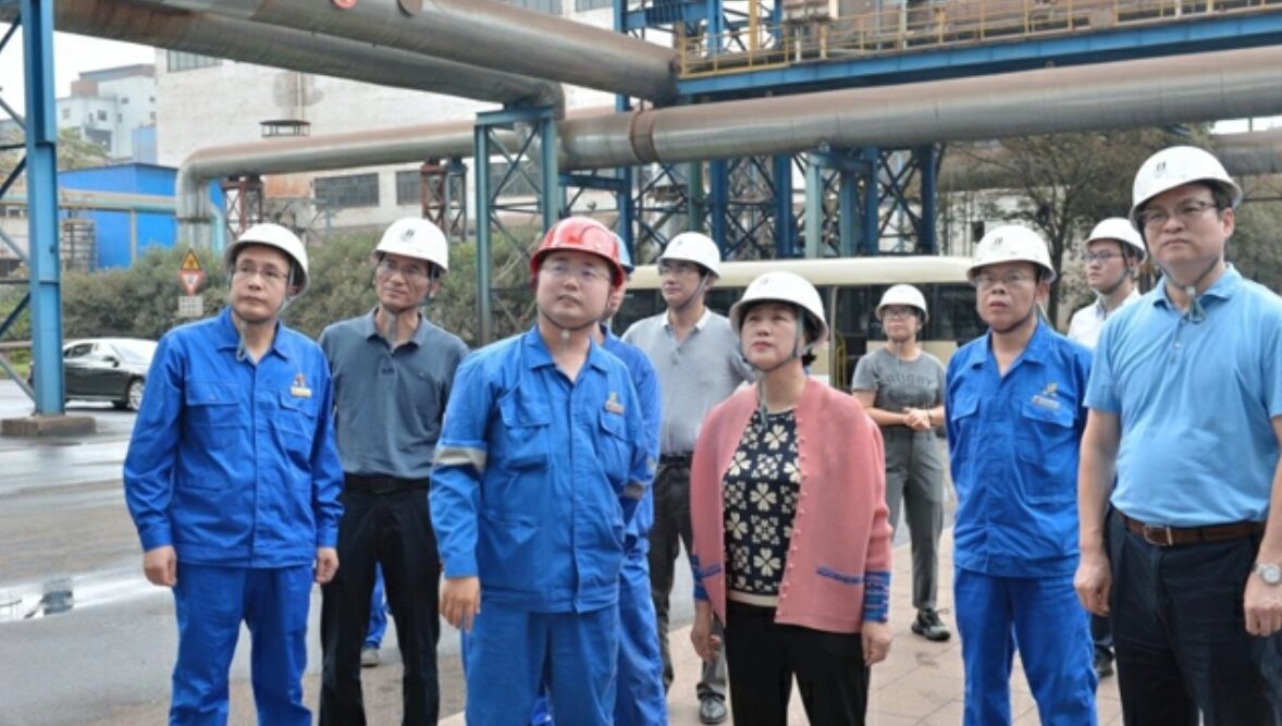 省第三生态环境保护督察组下沉衡钢督察