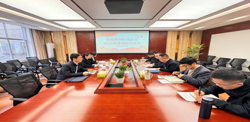 冶金规划院党总支召开2025年度组织生活会